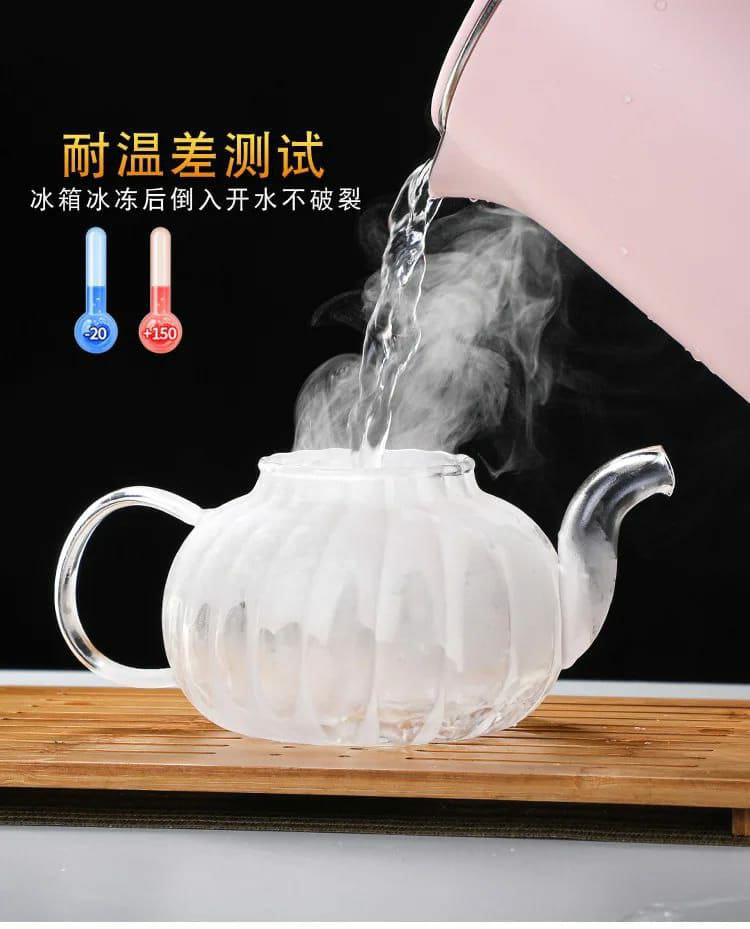Stripped High Borosilicate glass tea/coffee pot with stainless steel glass filter infuser