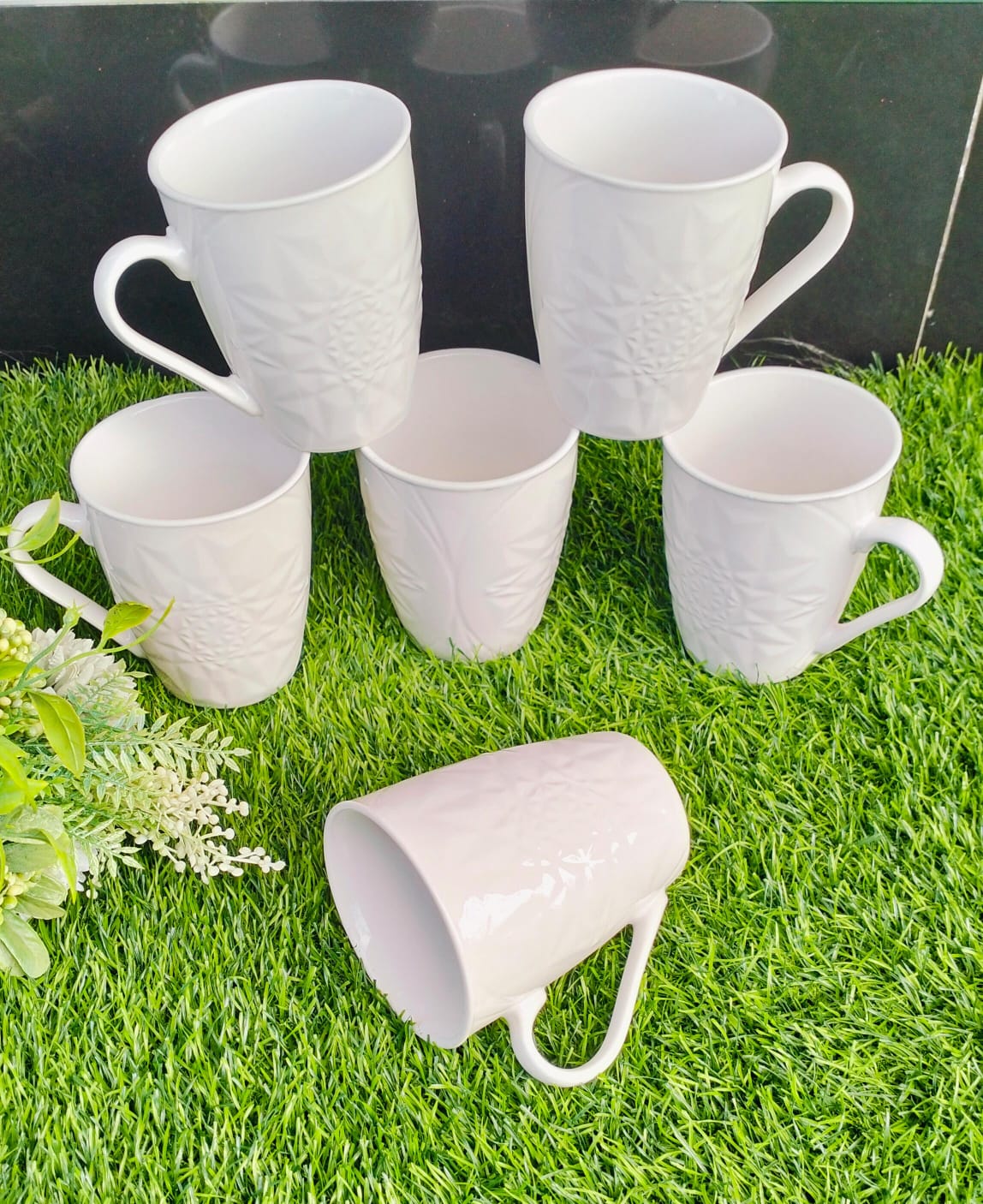 6pcs Set Mugs