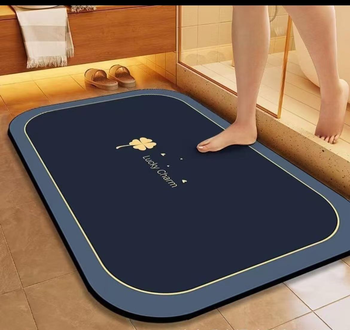 Diatom mud absorbent floor mat