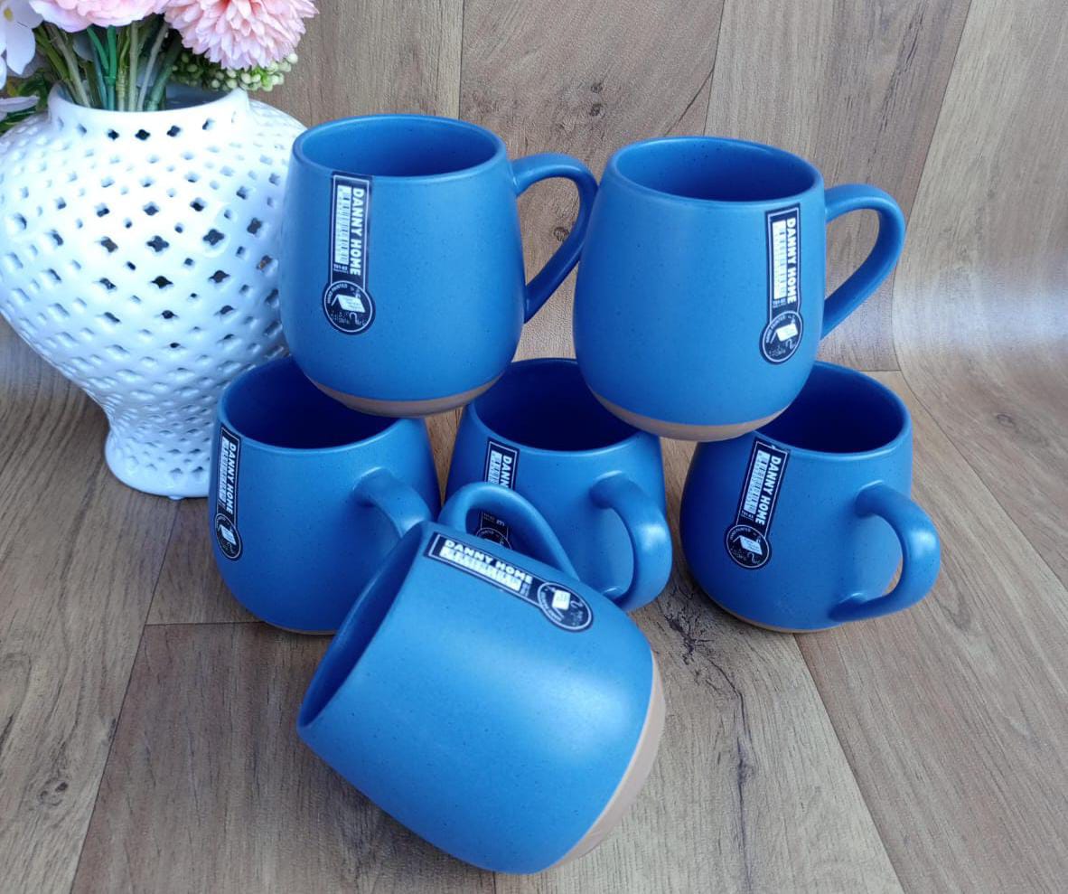 6pcs Set Classy Mugs