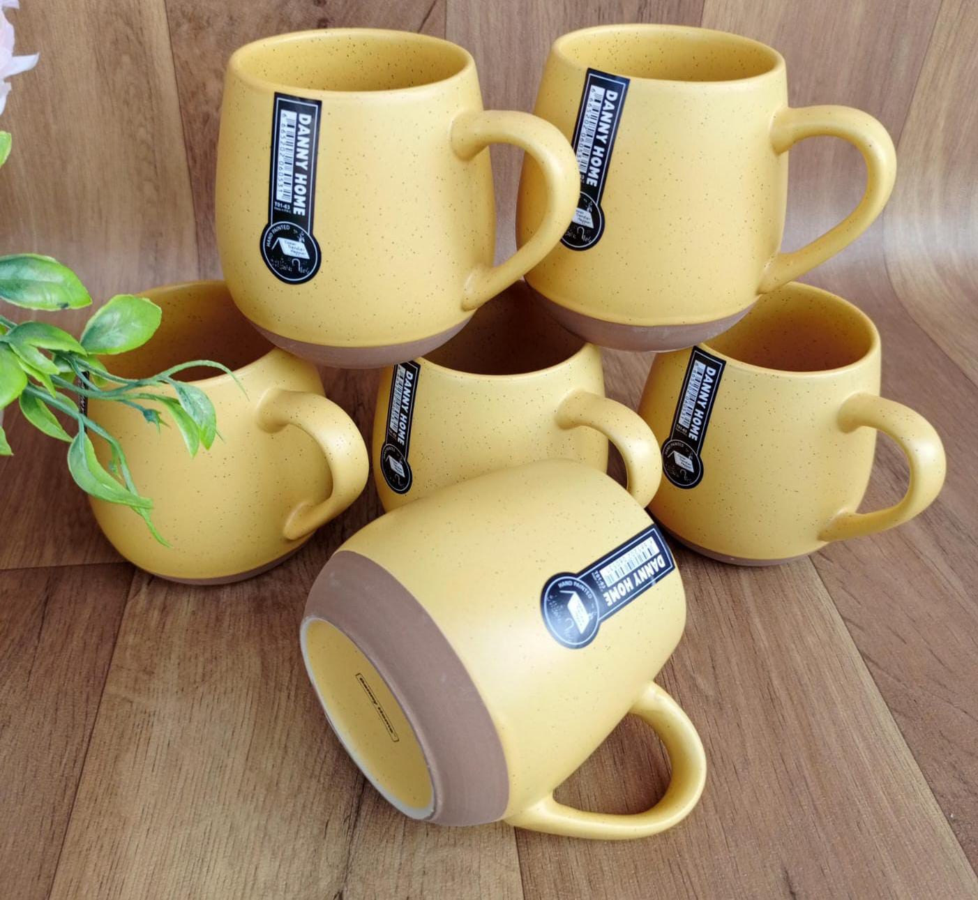 6pcs Set Classy Mugs