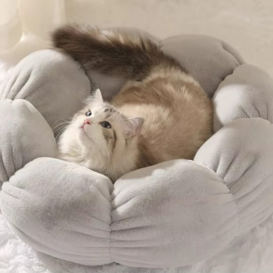 Plush Pillow