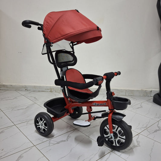 Push handle tricycle with canopy