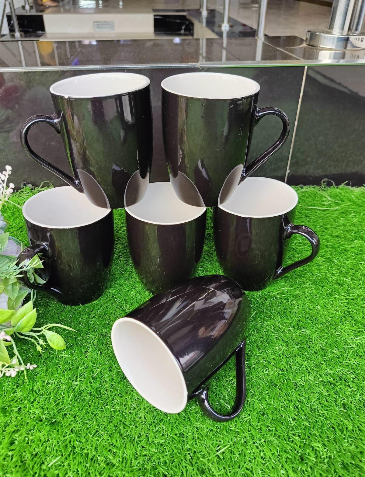 6pcs Set Mugs